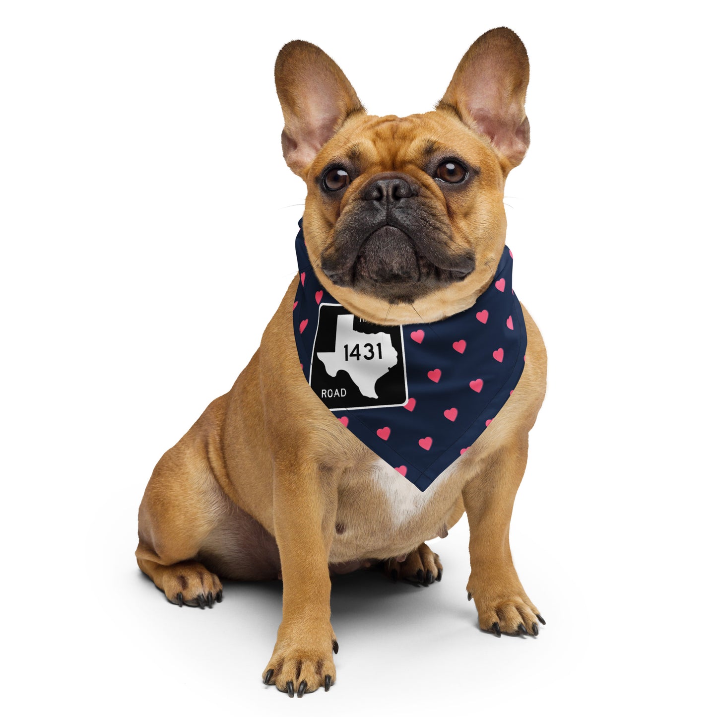 RM 1431 Happy Hearts All-over print Pet Bandana